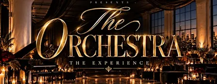 The Orchestra