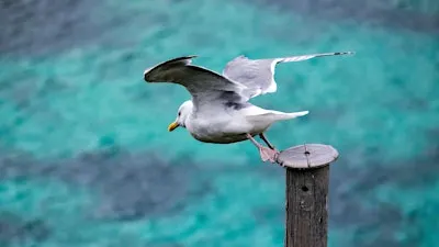 From Longing to Living (Your Song): taking your brave first steps