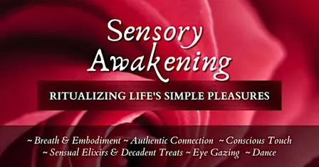 SENSORY AWAKENING: Ritualizing Life's Simple Pleasures