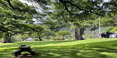 International Church of Oahu - Church Outside Potluck Picnic