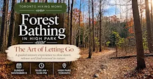 Forest Bathing in High Park