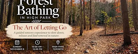 Forest Bathing in High Park