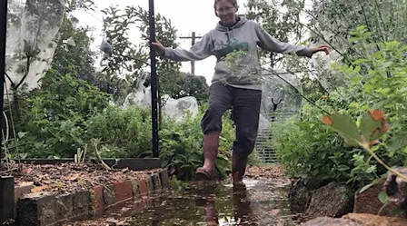 Make a garden that waters itself!