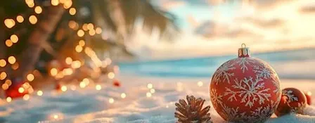 Baja Christmas