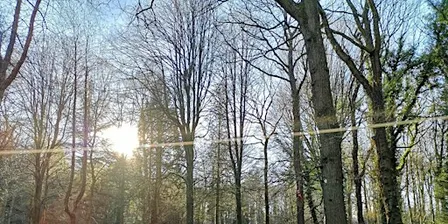 Nature Reserve Work Party - Queenswood - Ride Clearance: Raking and Tidying