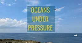 Oceans Under Pressure: Connected Issues, Connected Solutions