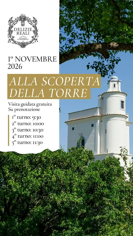 Alla scoperta della Torre