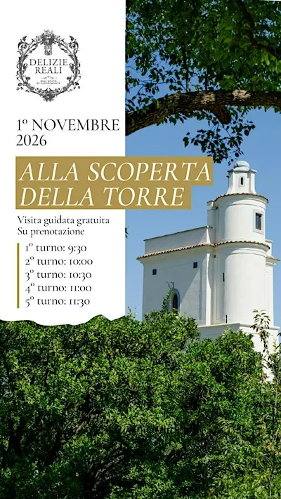 Alla scoperta della Torre