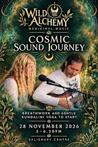 Wild Alchemy — Medicinal Music Cosmic Sound Journey