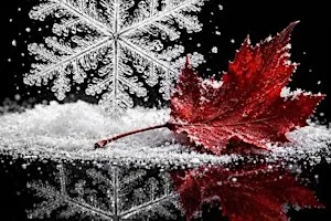 Fire & Frost