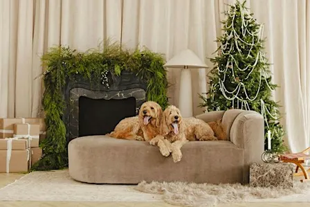 Happy Holidays Creator Days