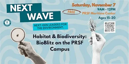 Next Wave: Habitat & Biodiversity - BioBlitz at PRSF
