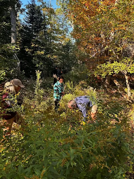 October Work Party #2