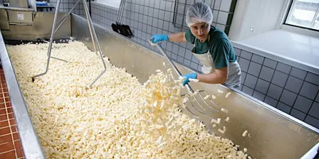 Sun to Cheese Tour 2026