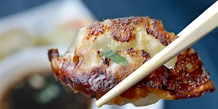 Japanese Dumplings and More - Cooking Class in Seattle | Cozymeal™