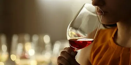 Wine Essentials: How to Taste, Describe, Order and Pair Wine