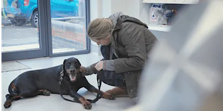 Pet Loss Training Day for Veterinary Professionals-(MANCHESTER)