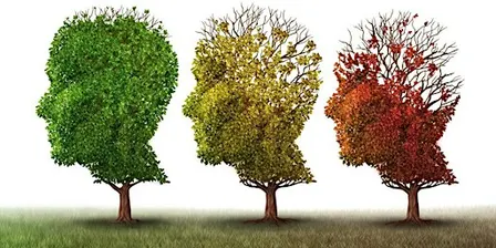 Memory Loss: Progression, Behaviors, and Interventions