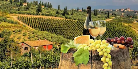 Exploring the Wines of Tuscany