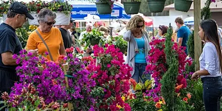 Plant Market Vendor Payments - October 10, 2026 - Plant Market Vendors