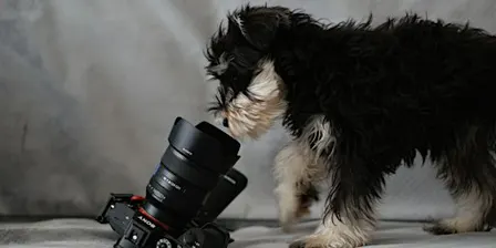 Gratis fotoshoot - Kersteditie