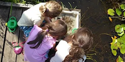 Pond Dipping at Ryton Pools Country Park