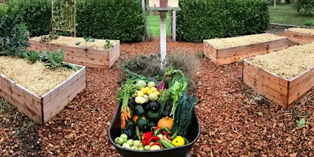 FREE: Garden Winterization and Garlic Planting (NORTH PORTLAND DEMO GARDEN)