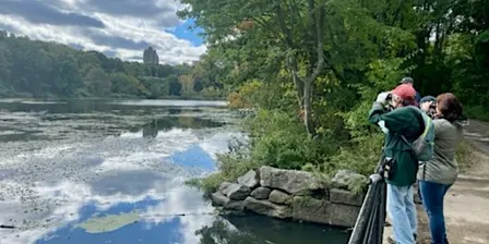 Birding with NYC Bird Alliance