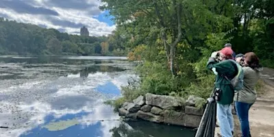 Birding with NYC Bird Alliance