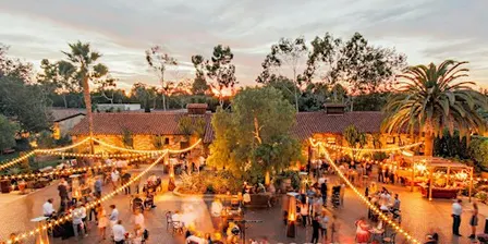 Whiskey & Wine Party