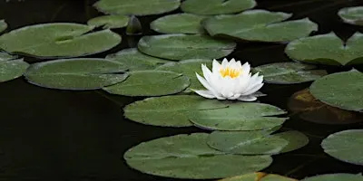 2026 South Carolina Aquatic Plant Management Society Conference