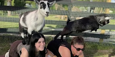 Fun Goat Yoga with Baby Goats, Farm Tour, Unique Attraction in Palm Beach