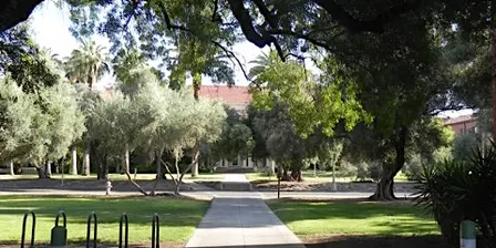 Trees around the World, a UArizona Campus Arboretum tour.