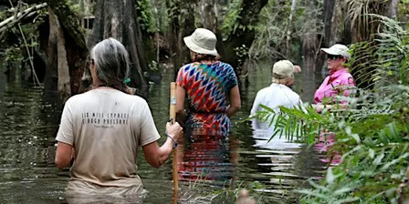 Wet Walks 2026