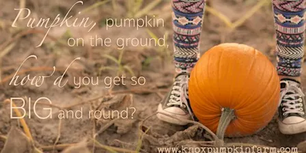 Fall Harvest Tickets 2026