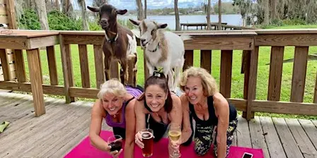 Goat Yoga Tampa lakeside @ In the Loop Brewing in Land O Lakes; 9/20/26