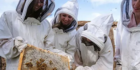 Entwined in the Valley - Beekeeping Experience & Honey Masterclass