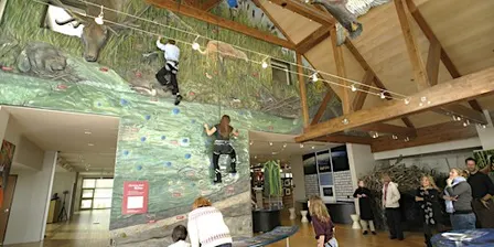 Swaner Wetland  Climbing Wall (2026)