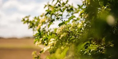 Farm walk with Tim May at Kingsclere Estates
