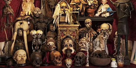 The Viktor Wynd Museum of Curiosities Guided Tour with Vadim Kosmos