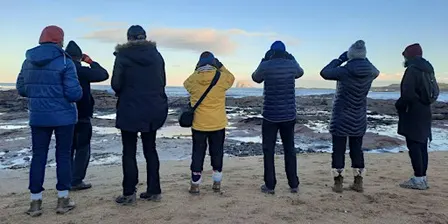 Coastal Wildlife Wanders