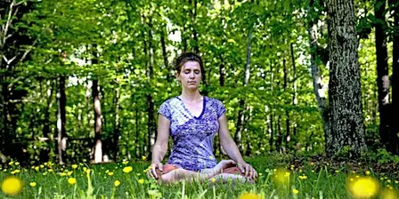 EcoWalk: Forest Bathing in the Parks - Red Bug Slough