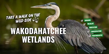 Wakodahatchee Wetlands
