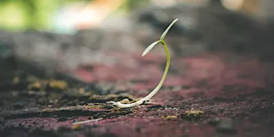 What Part Does Hope Play In Recovery?