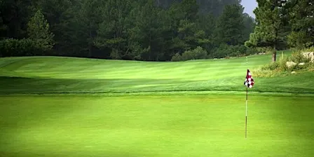 25th Annual Association of Energy Engineers Baltimore Chapter Golf Classic