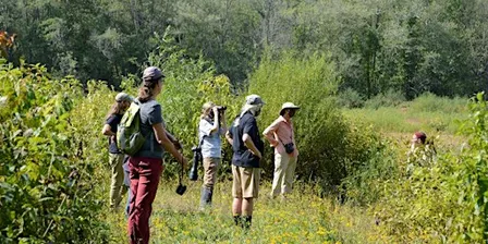 Northfork Habitat Hike
