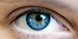 Pan-Ireland Ophthalmology Day (POD) 2026