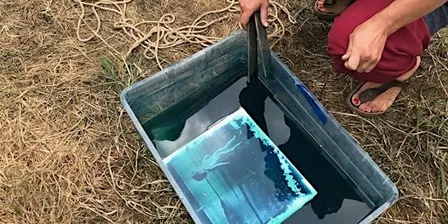 Cyanotypes: Sunprinted Photography