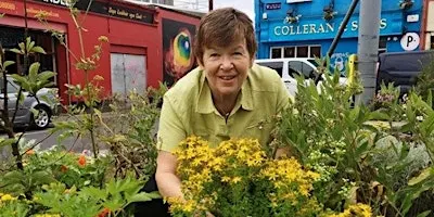 Foraging Herb Walk with Dr Dilis Clare GP & Medical Herbalist in Athenry