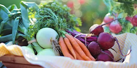 Produce Safety Alliance Grower Training - Homestead